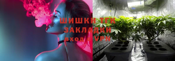 спайс Арсеньев
