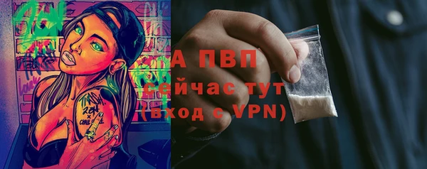 apvp Богданович