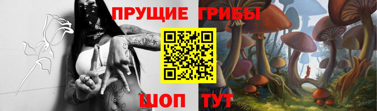 Галлюциногенные грибы прущие грибы Гулькевичи